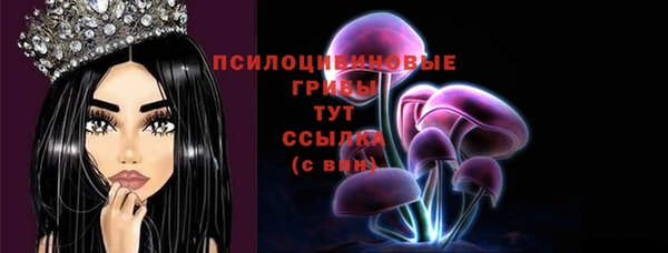 СК Горняк